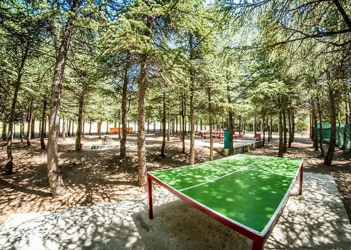 Noks - Menada * Szveti Vlasz